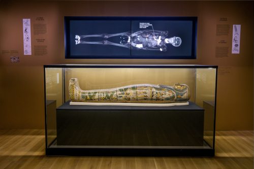 Exhibition Furniture – Egyptian Mummies